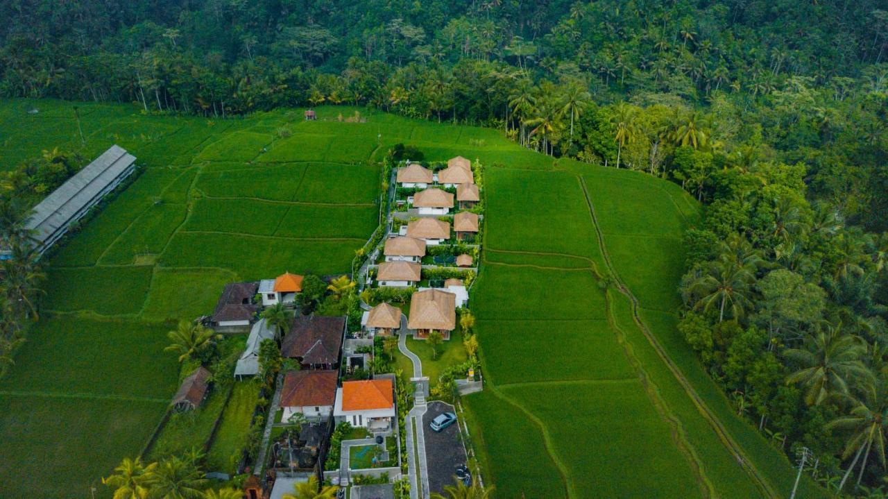 Three Gold Luxury Private Villas Ubud Kültér fotó
