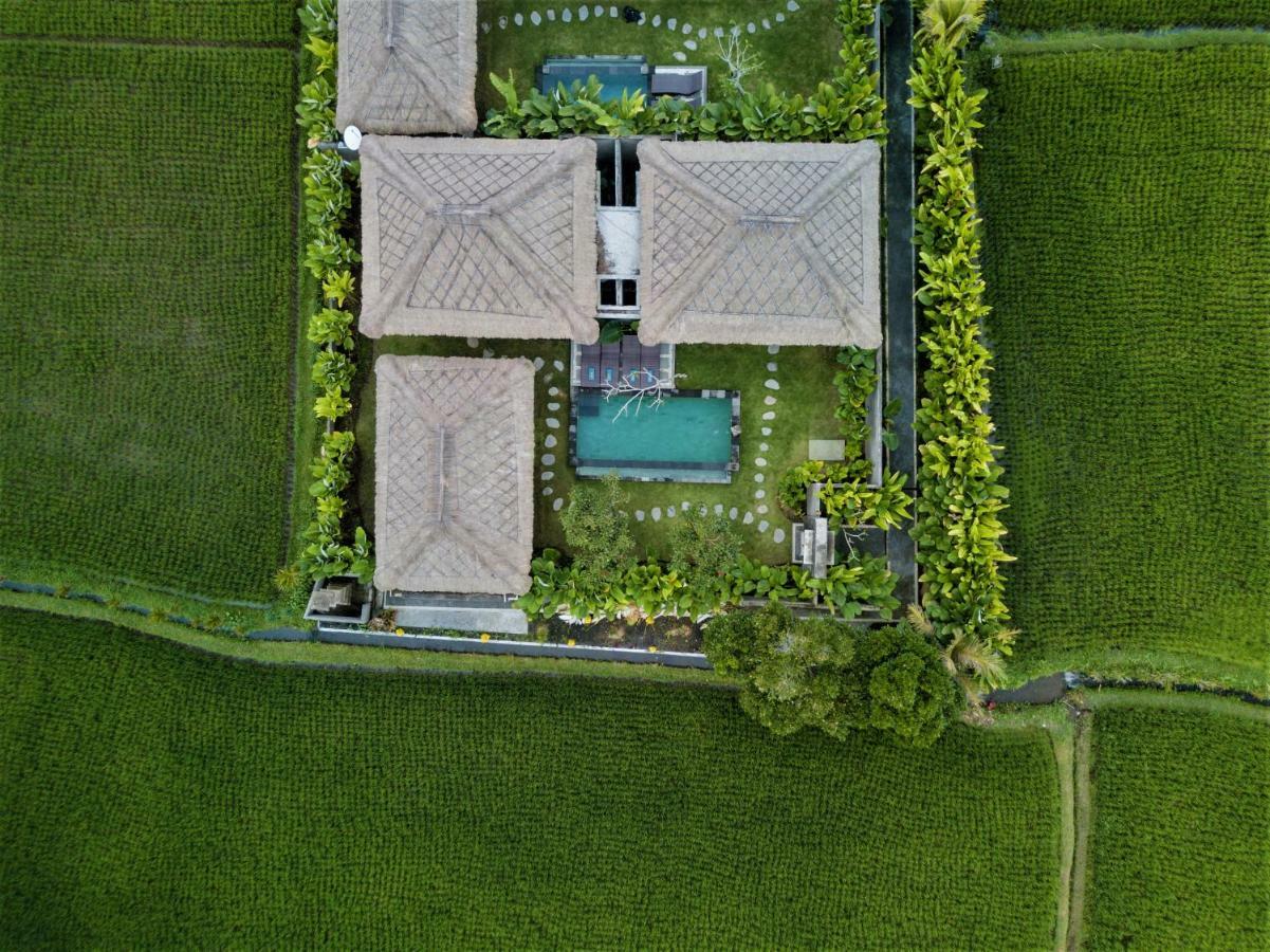 Three Gold Luxury Private Villas Ubud Kültér fotó